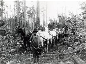 A young man in the forest stands before a team of horses and a group of men on a large machine pulled by the horses